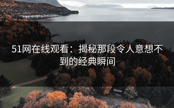 51网在线观看：揭秘那段令人意想不到的经典瞬间