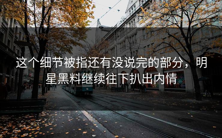 这个细节被指还有没说完的部分，明星黑料继续往下扒出内情